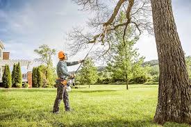 Reliable Sunnyside, GA  Tree Services Solutions